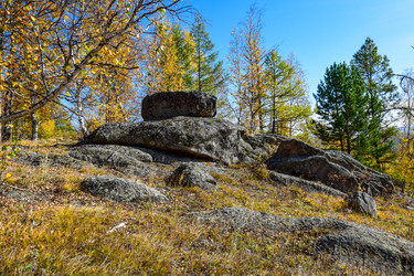 Similar image 21912500