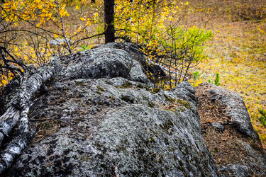 Similar image 21912502