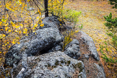 Similar image 21912504