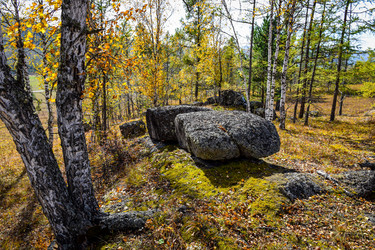 Similar image 21912505