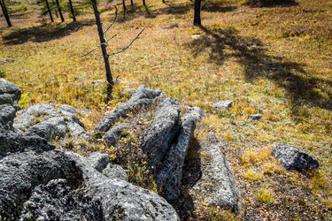 Similar image 21912507