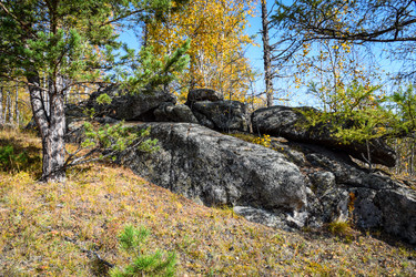 Similar image 21912508