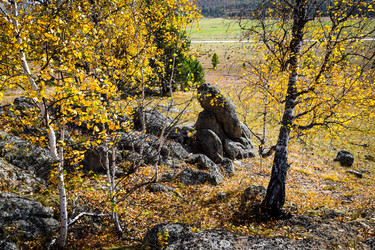 Similar image 21912205