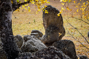 Similar image 21912206