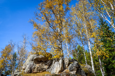 Similar image 21912211