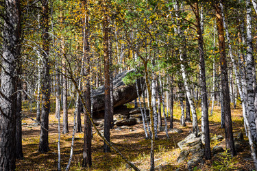 Similar image 21912221