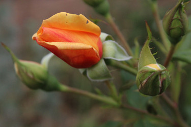 Similar image 21911486