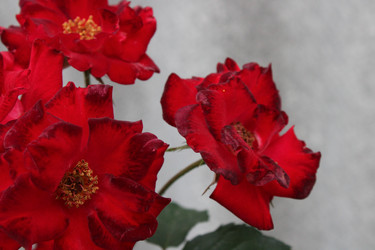 Similar image 21916995