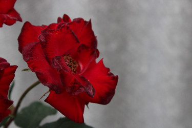 Similar image 21916996