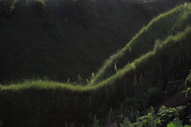 Similar image 21916998