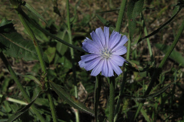 Similar image 21911489