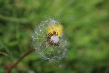 Similar image 21911490