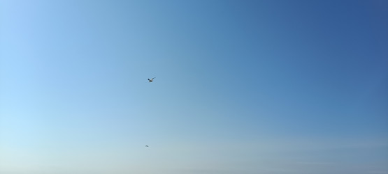 Similar image 21933699