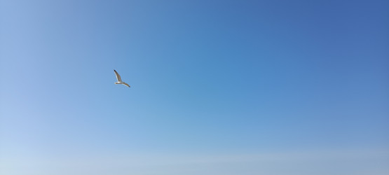 Similar image 21933700