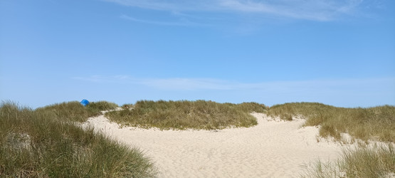 Similar image 21933701