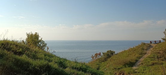 Similar image 21936034