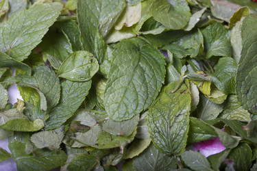 Similar image 21917088