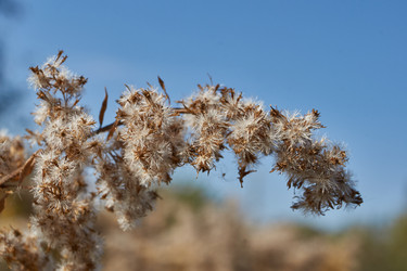 Similar image 21911770