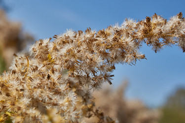 Similar image 21916420