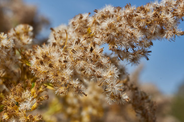 Similar image 21918223