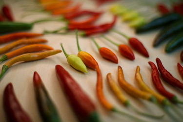 Similar image 21934287