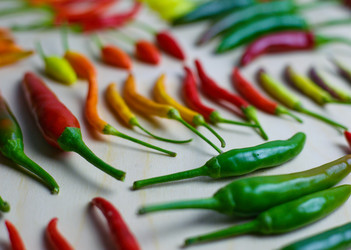 Similar image 21934288