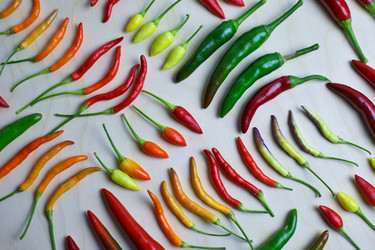 Similar image 21934289