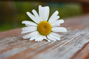 Similar image 21934292