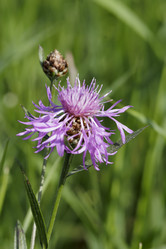 Similar image 21936616