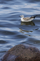 Similar image 21936617