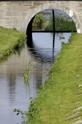 Similar image 21911925