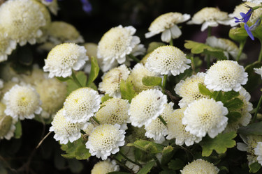 Similar image 21911930