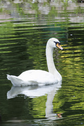 Similar image 21936620