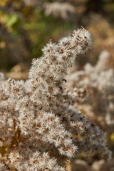 Similar image 21916421