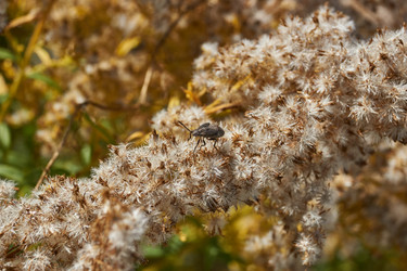 Similar image 21911772