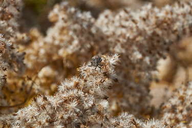 Similar image 21911507