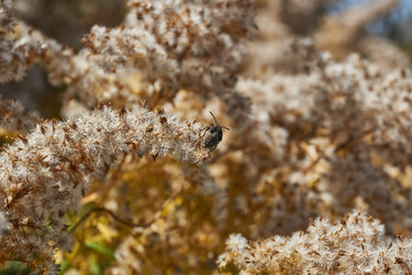 Similar image 21914232