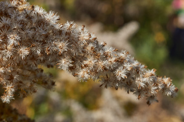 Similar image 21915838