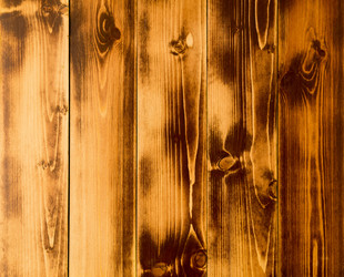 Similar image 21912520