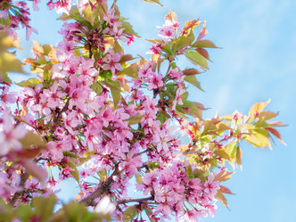 Similar image 21912548