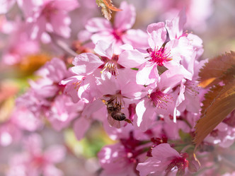 Similar image 21912683