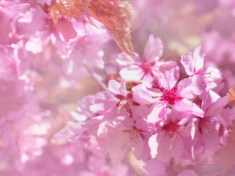 Similar image 21912873