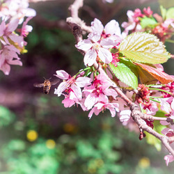 Similar image 21912877