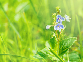 Similar image 21912879