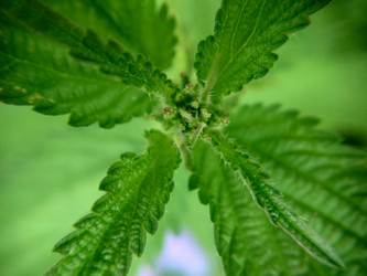 Similar image 21913740