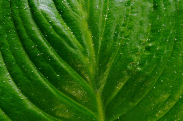 Similar image 21912921