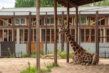 Similar image 21911778