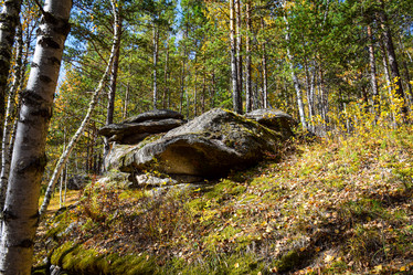 Similar image 21912228