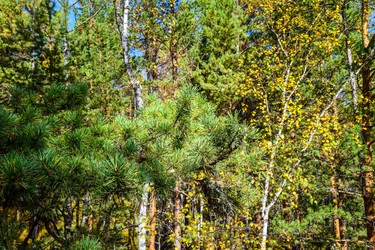 Similar image 21912234