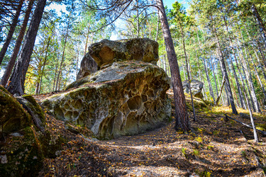 Similar image 21912235